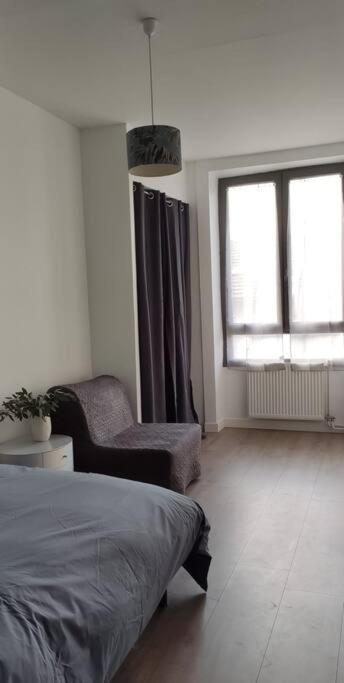 Logement 5 Personnes Proche Cv Et Parking Prive Apartment แซงต์-เอเตียน ภายนอก รูปภาพ