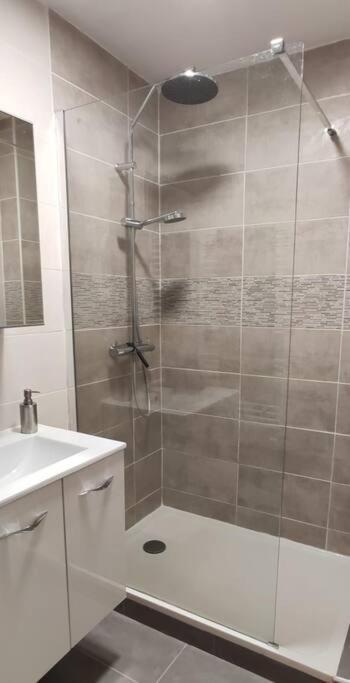 Logement 5 Personnes Proche Cv Et Parking Prive Apartment แซงต์-เอเตียน ภายนอก รูปภาพ