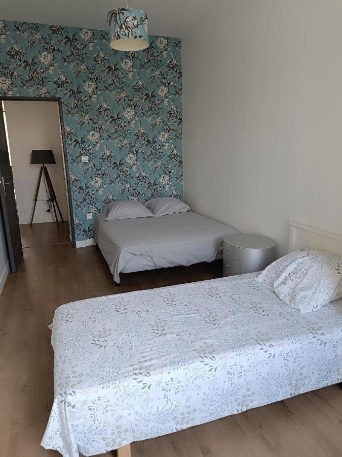 Logement 5 Personnes Proche Cv Et Parking Prive Apartment แซงต์-เอเตียน ภายนอก รูปภาพ